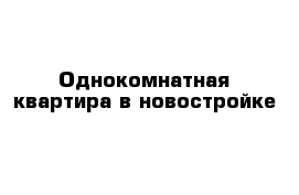 Однокомнатная квартира в новостройке 